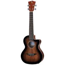 thomann guitare electro acoustique harley benton