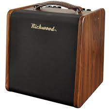 guitare electrique richwood prix