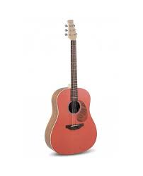 guitare electro acoustique applause