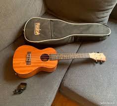 guitare electro acoustique jm forest