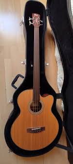 guitare fretless acoustique