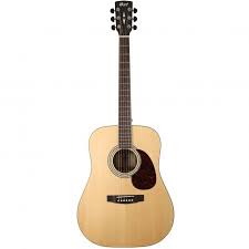 guitare folk cort earth 100 ns