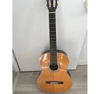 guitare samick