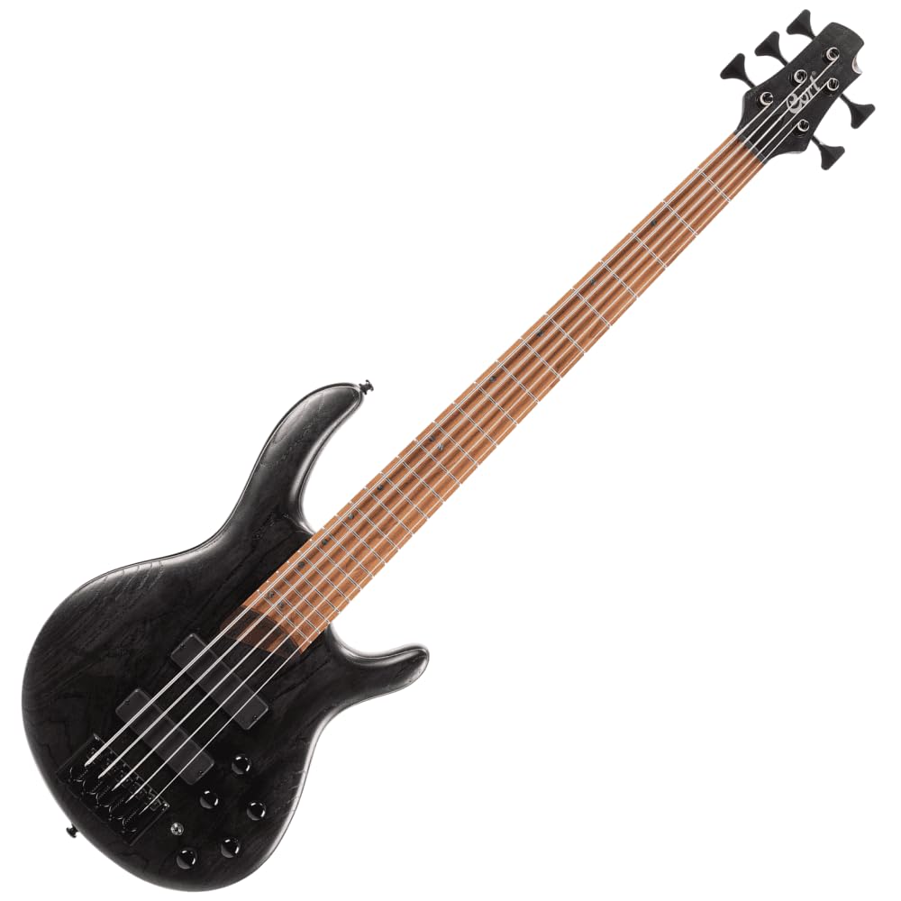 basse electrique cort