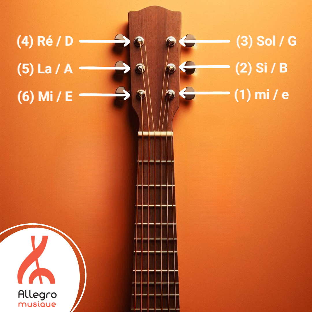 corde guitare electrique