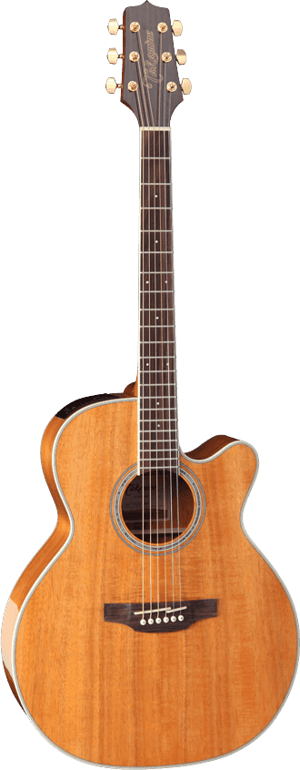 guitare takamine electro acoustique