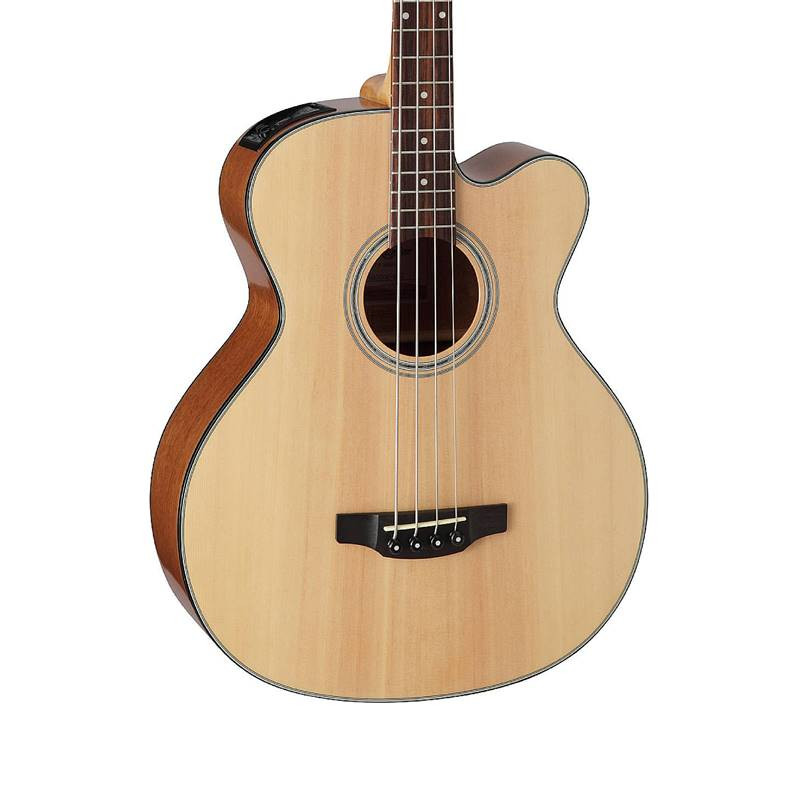 takamine electro acoustique