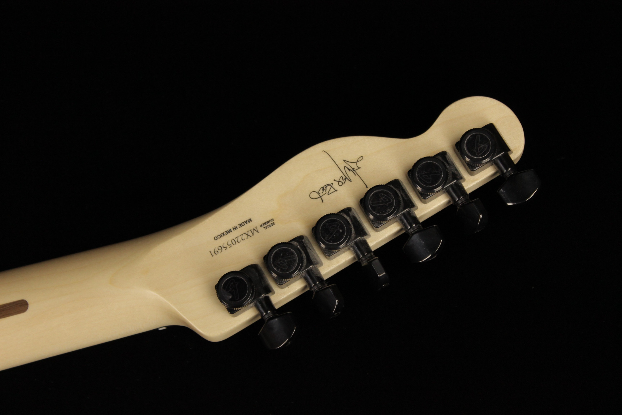 telecaster jim root