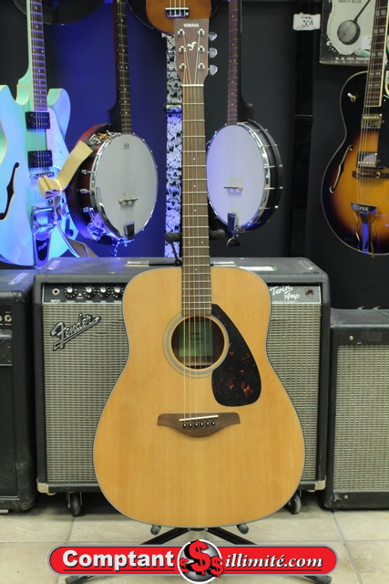 yamaha fg800m